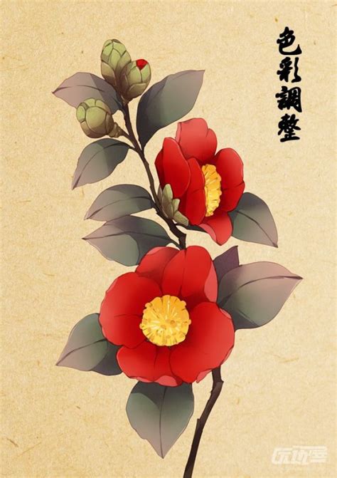 卡通茶花|茶花插画图片